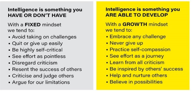 Growth mindset vs. fixed mindset 2